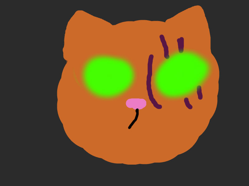 Do you Know About Cats?