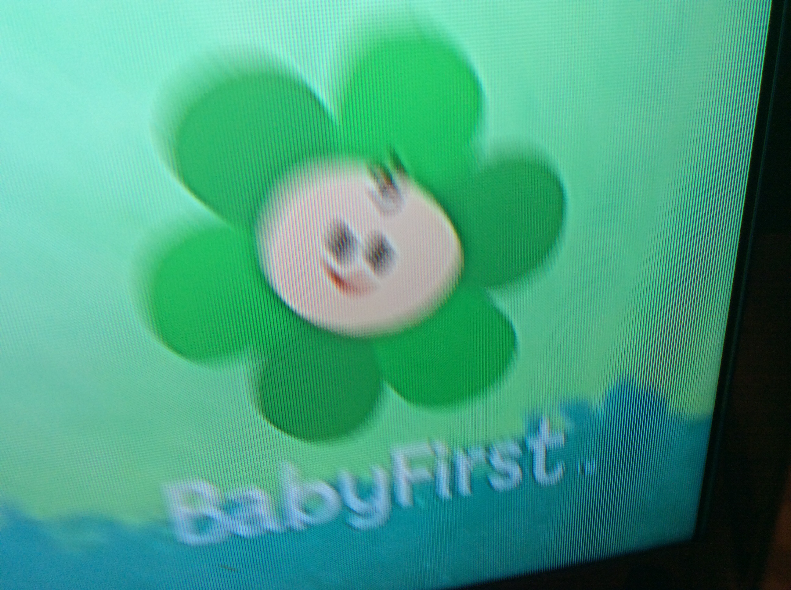 Baby First quiz 3
