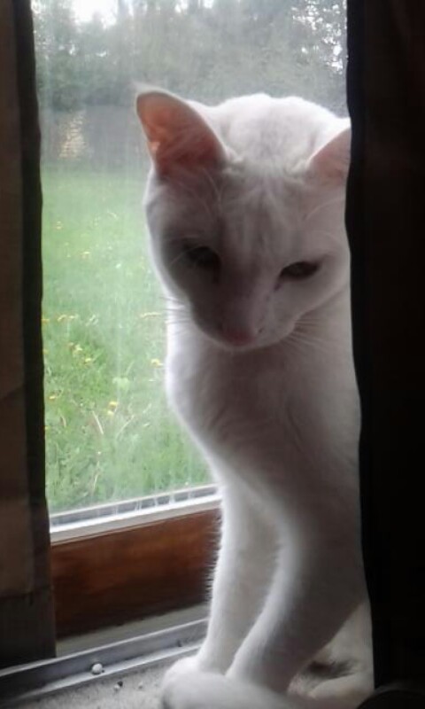 are you pretty? 