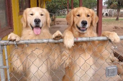 Are you my BFF?
