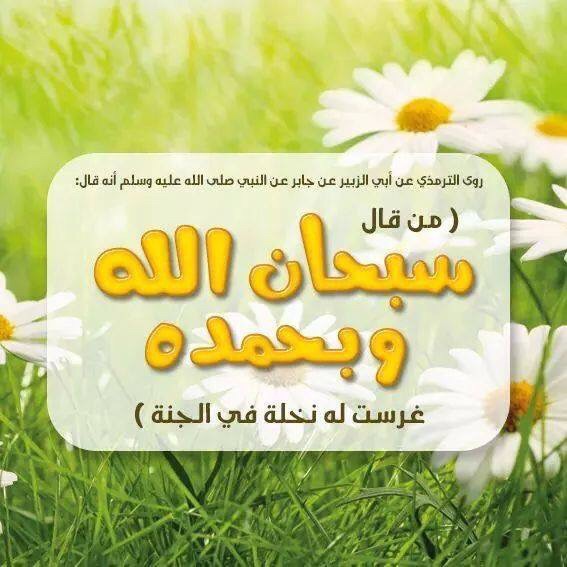 اختبار عن القرآن الكريم