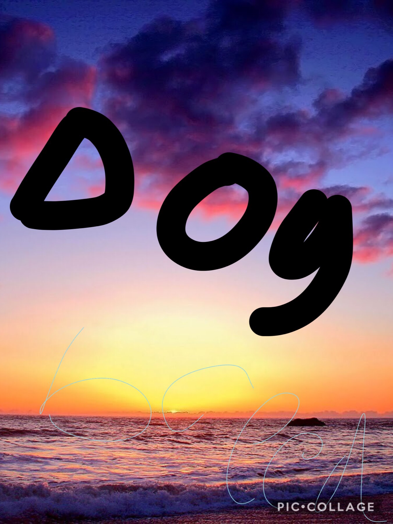 What dog breed are you