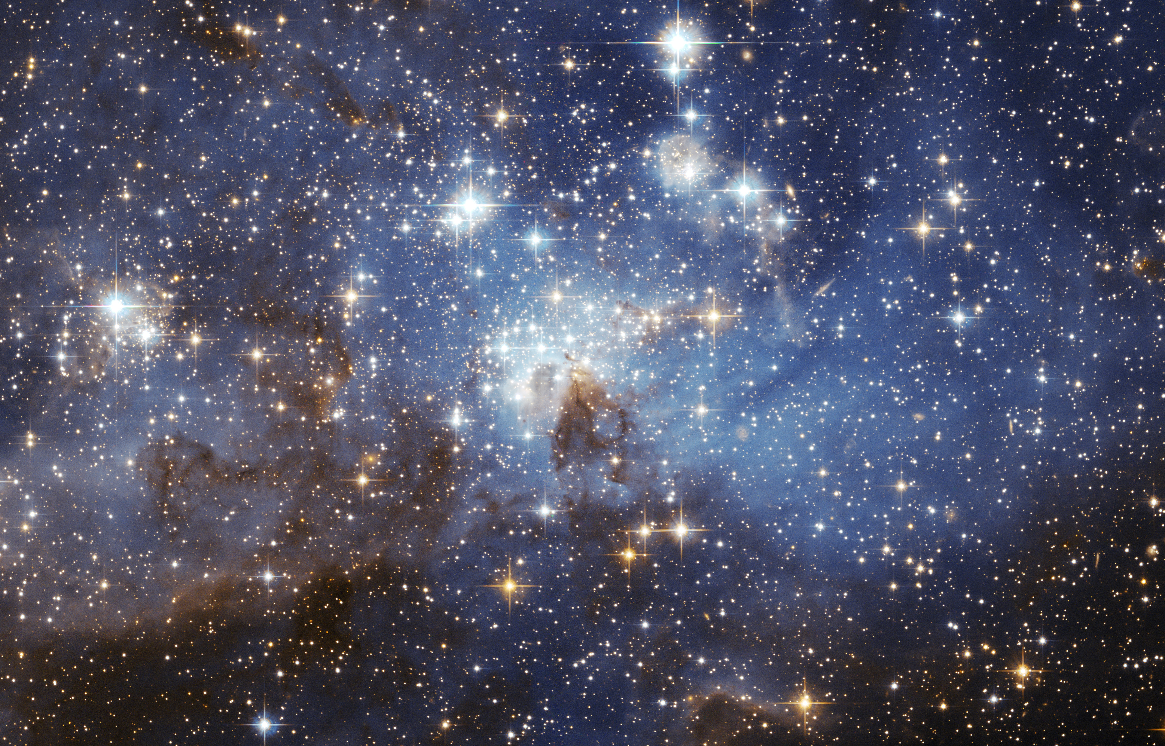What star can you date?