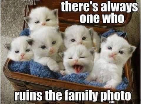 I can guess your pets name