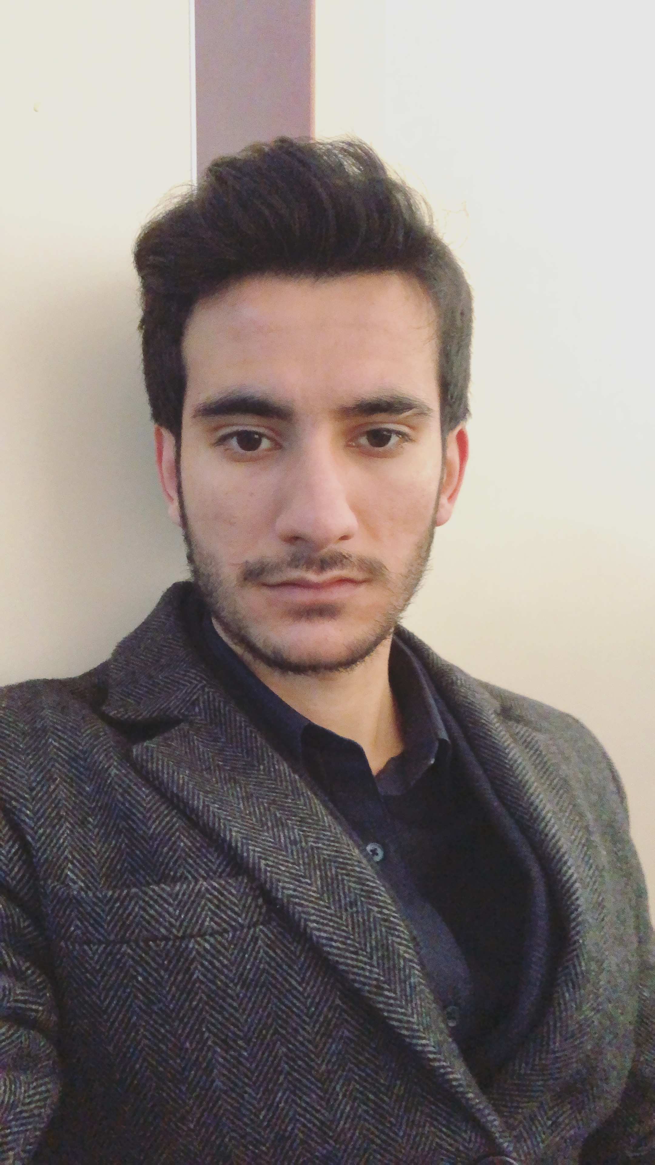 Ellek