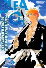 Are you a true bleach fan