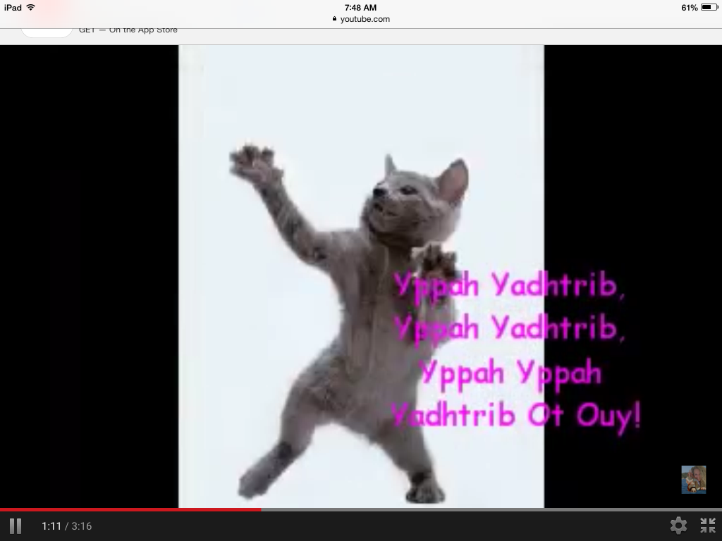 Cats