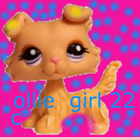 who is you celb crush