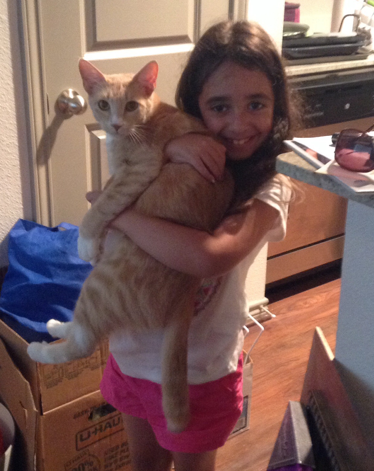 Cat or dog person?