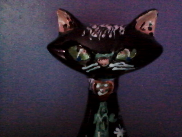 what cat are you