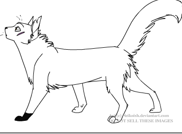 What is your warrior cat name & story ( Gurls only )