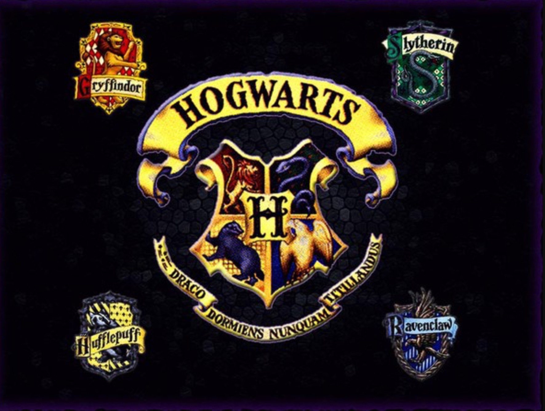 I Vilket elevhem är du i Harry Potter