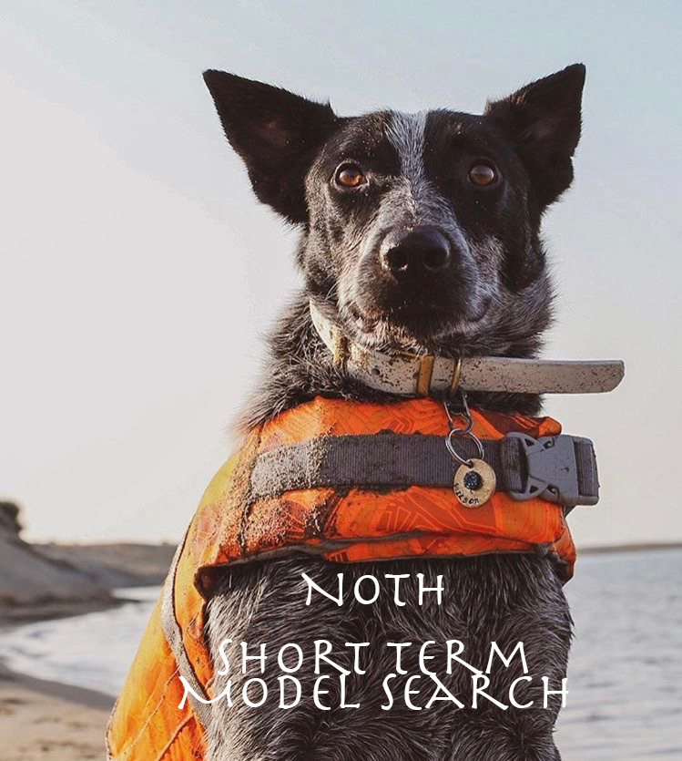 Not Short Term Model
