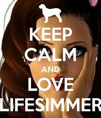 How well do you know LifeSimmer?