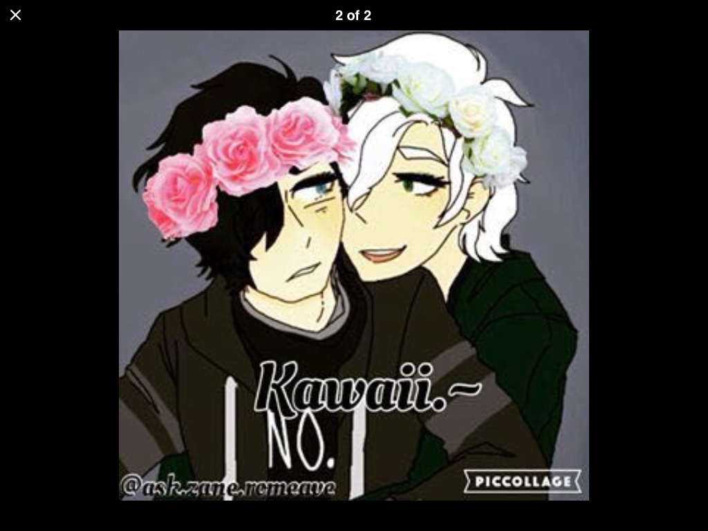 Do you like Zanvis?