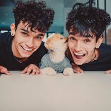 which dobre twin are you?