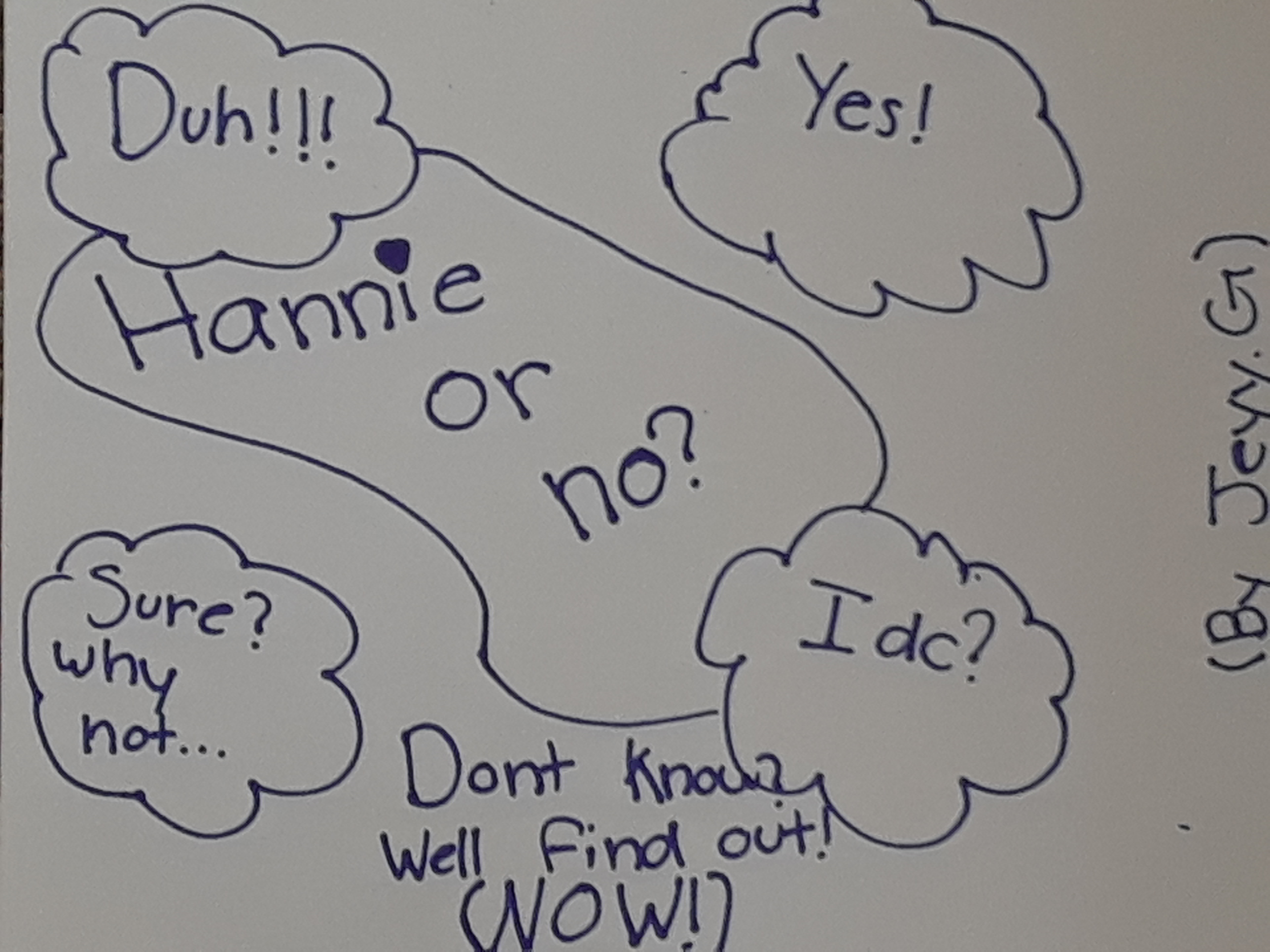 Do You Like Hannie?