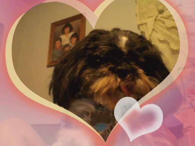 are you pretty????????????????