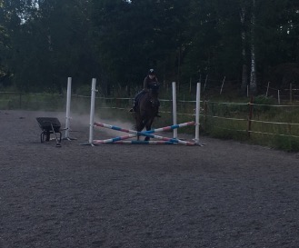 Är du en pajas?