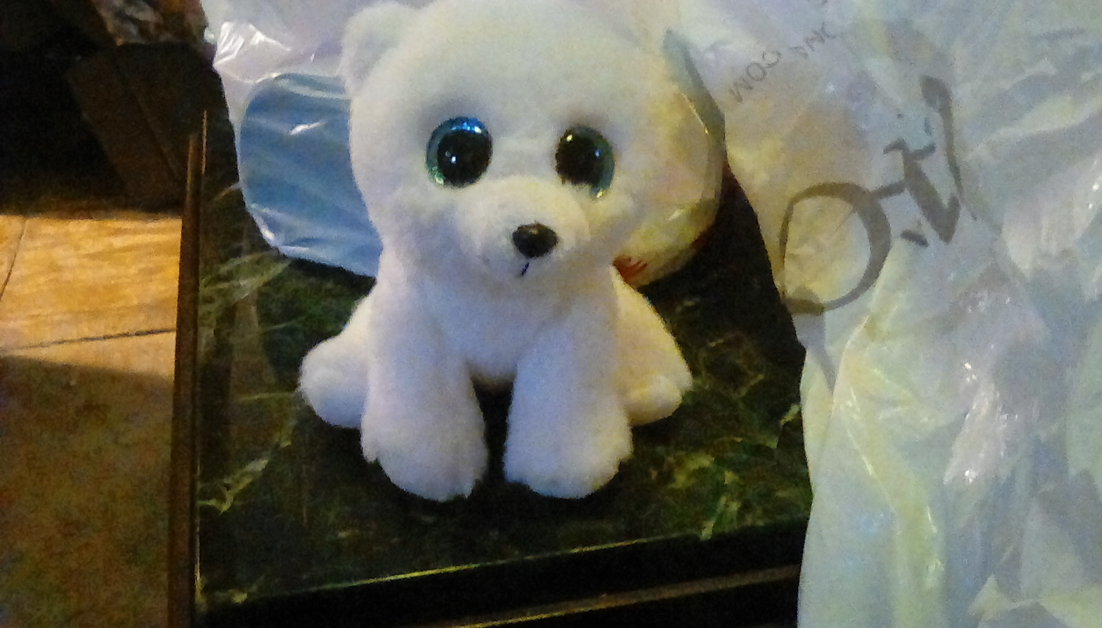Do you like polar bears?