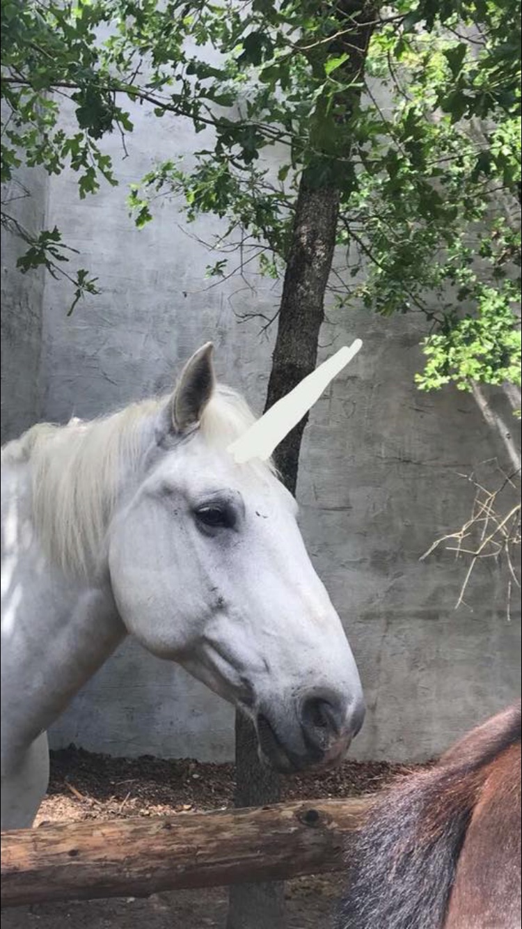 What unicorn are you