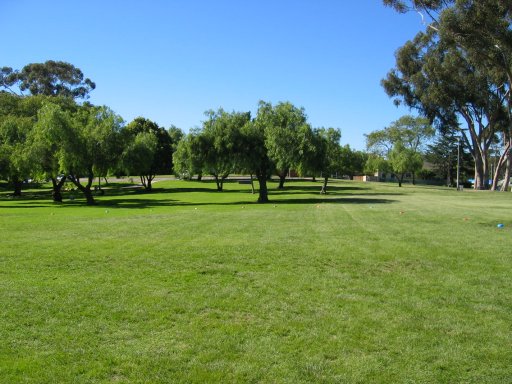 My Garden