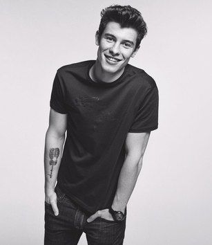 Shawn Mendes Quiz
