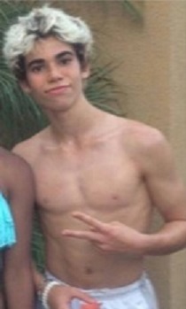 Do you love or like Cameron Boyce pic