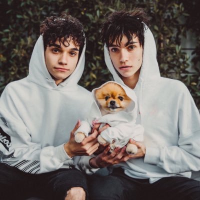 Dobre Twins