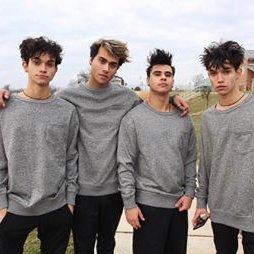 Which dobre brother likes you