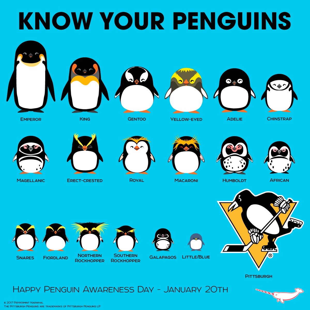 how well do u know penguins