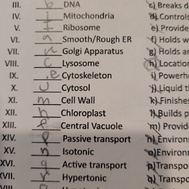 Cell Organelles/ Prokaryotic vs Eukaryotic/ Animal vs Plant call