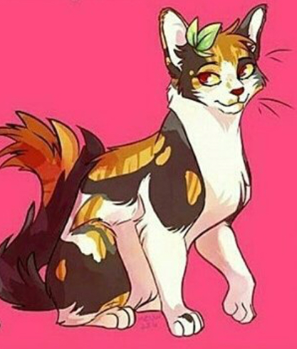 Wilken warriors cat caraktär är du?
