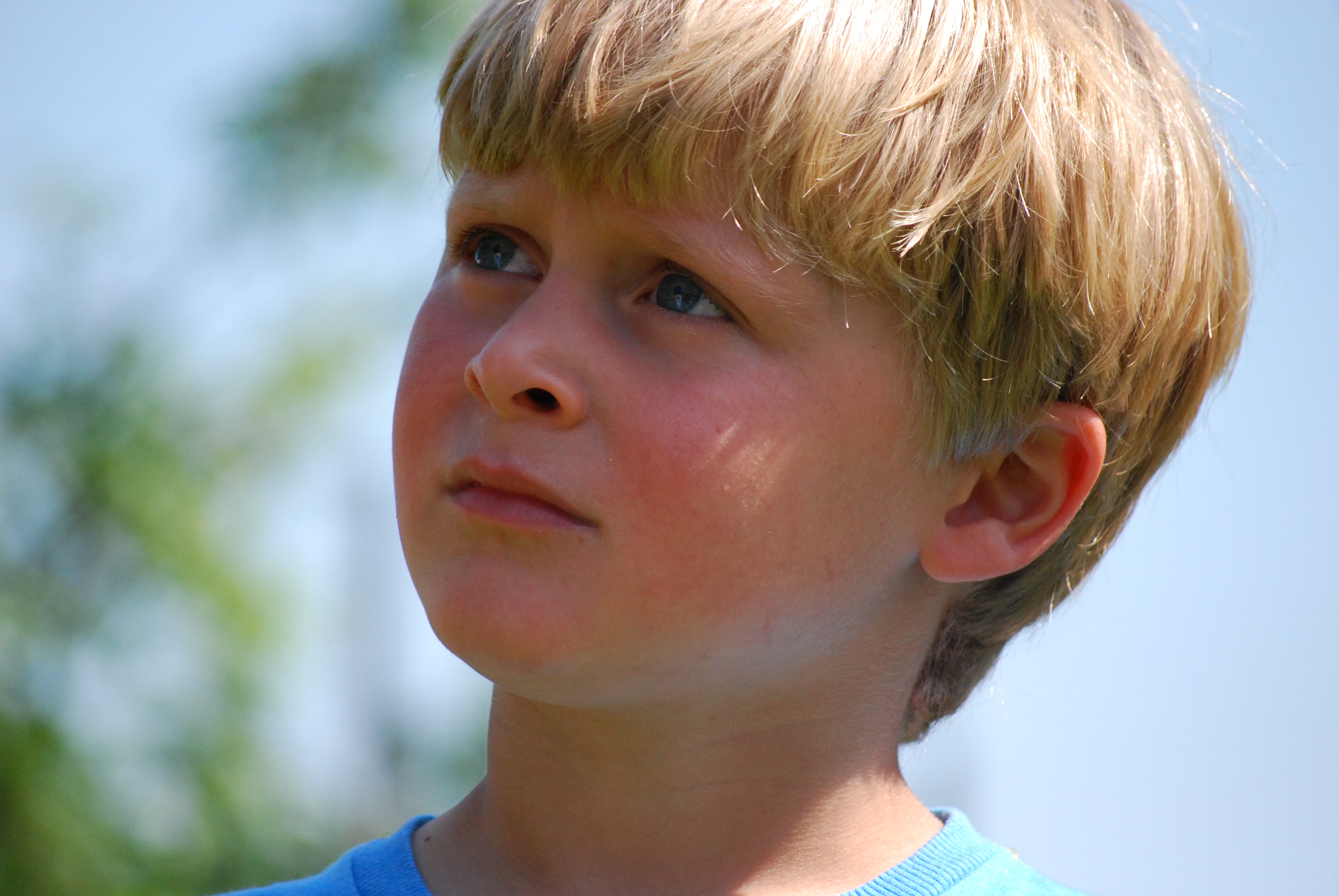 om Filip Sven Arwidson