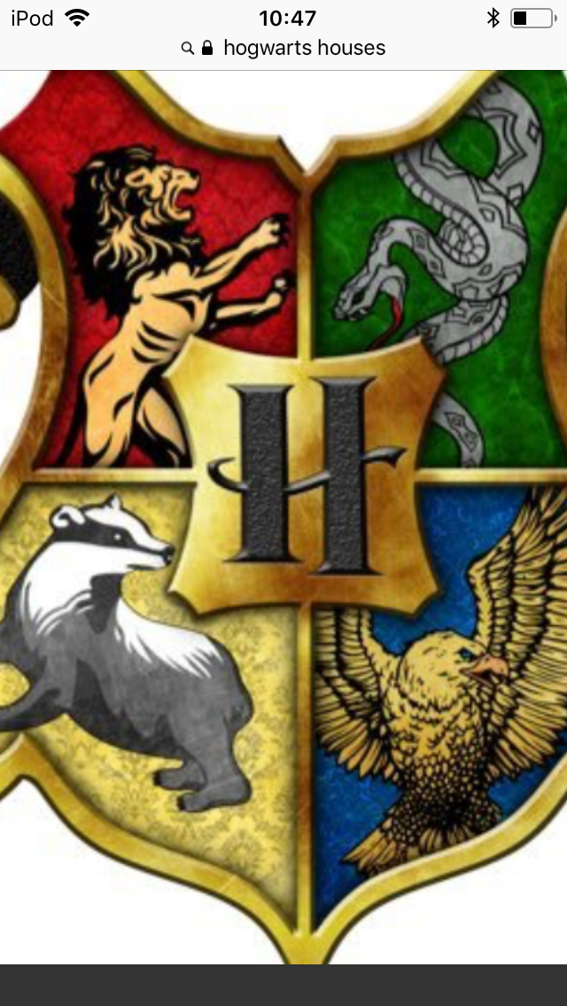Which hogwarts house are you in???