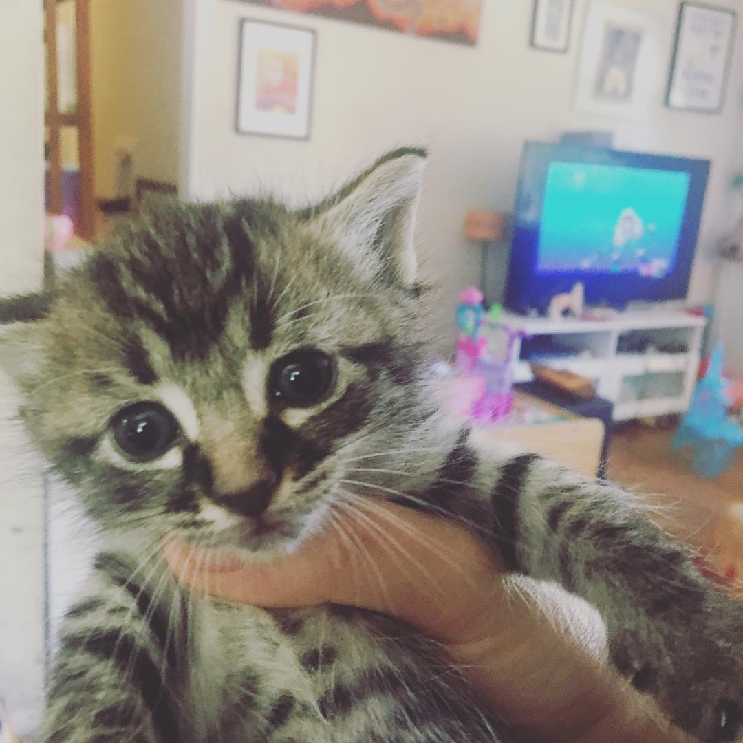 how well do you know karinaomg