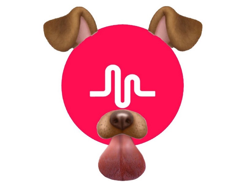 är du känd på musical.ly