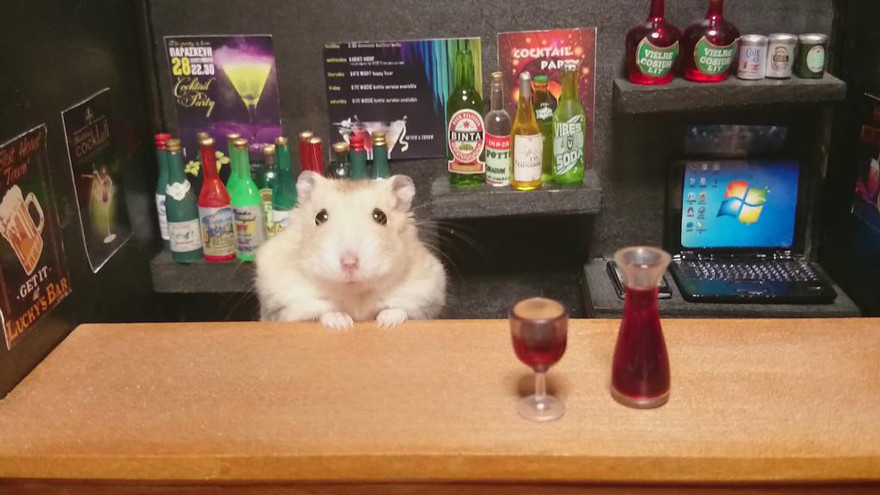 Hamster