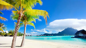Passar du i paradise hotel? ( kille)