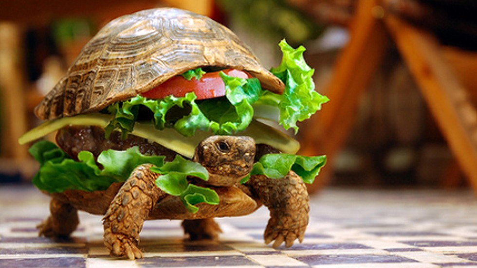 Eat Lunch and I'll tell you what others think of you