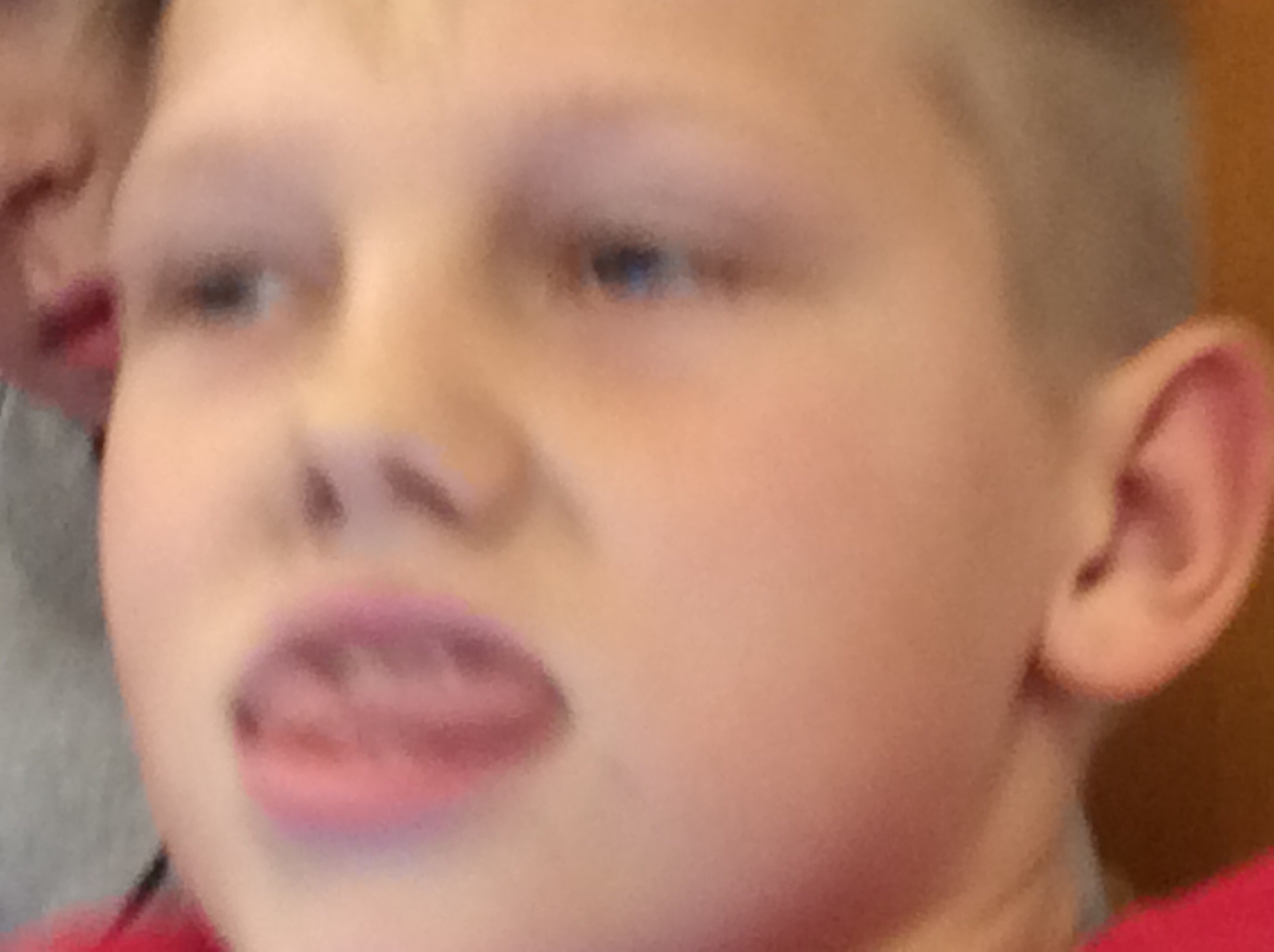 Hur dog Otto