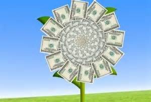 are you a flower or you money