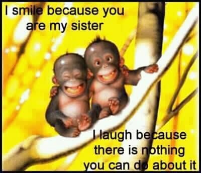 Are you my sister