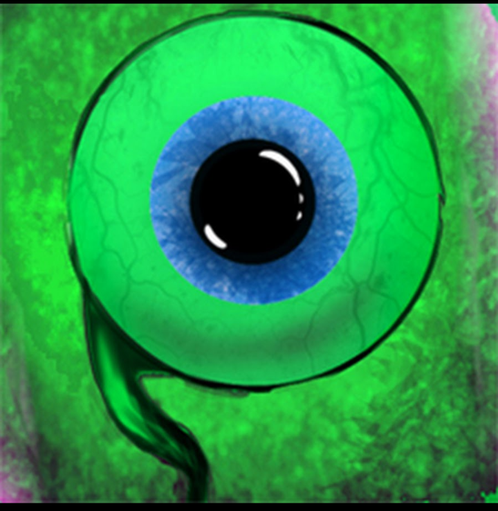 How well do you know Jacksepticeye?