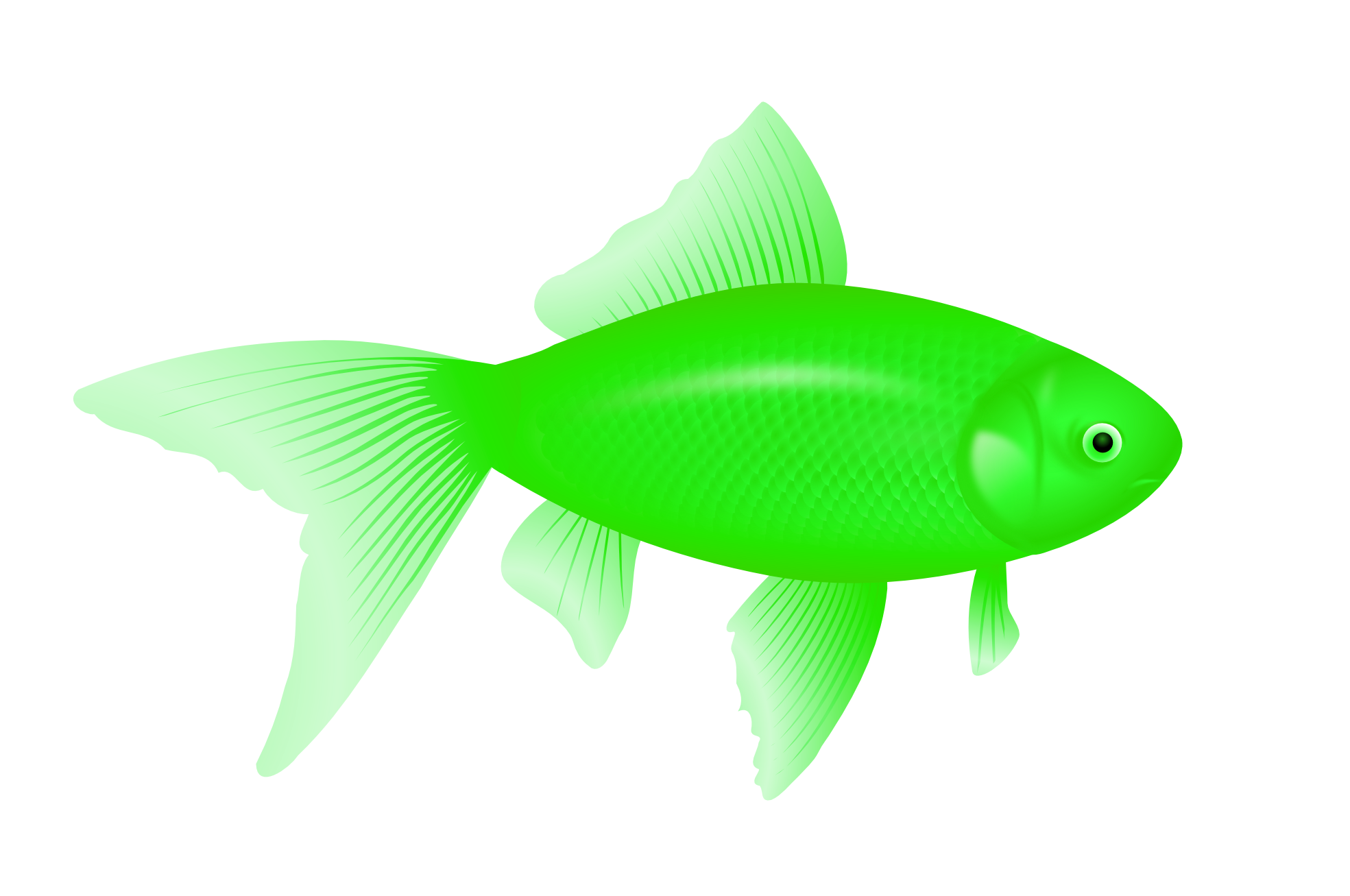 are fish green?