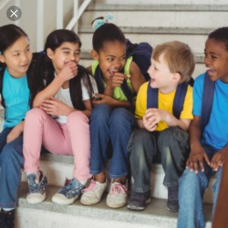 What is you school gang