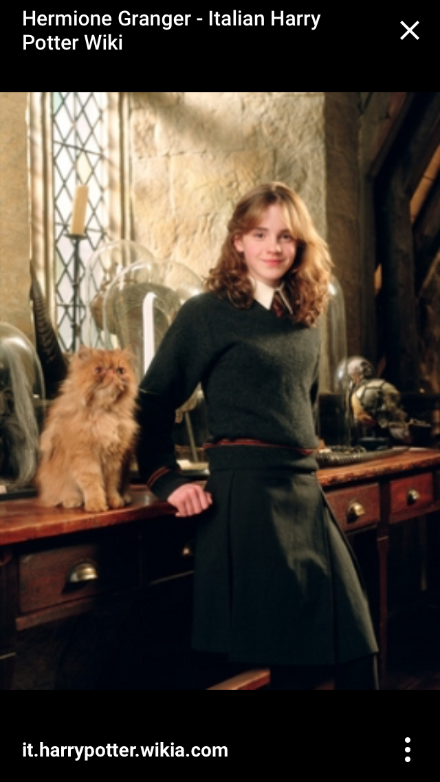 Vem vet mest om Hermoine