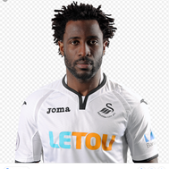 How well do you know Wilfried bony