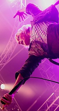 The Sounds