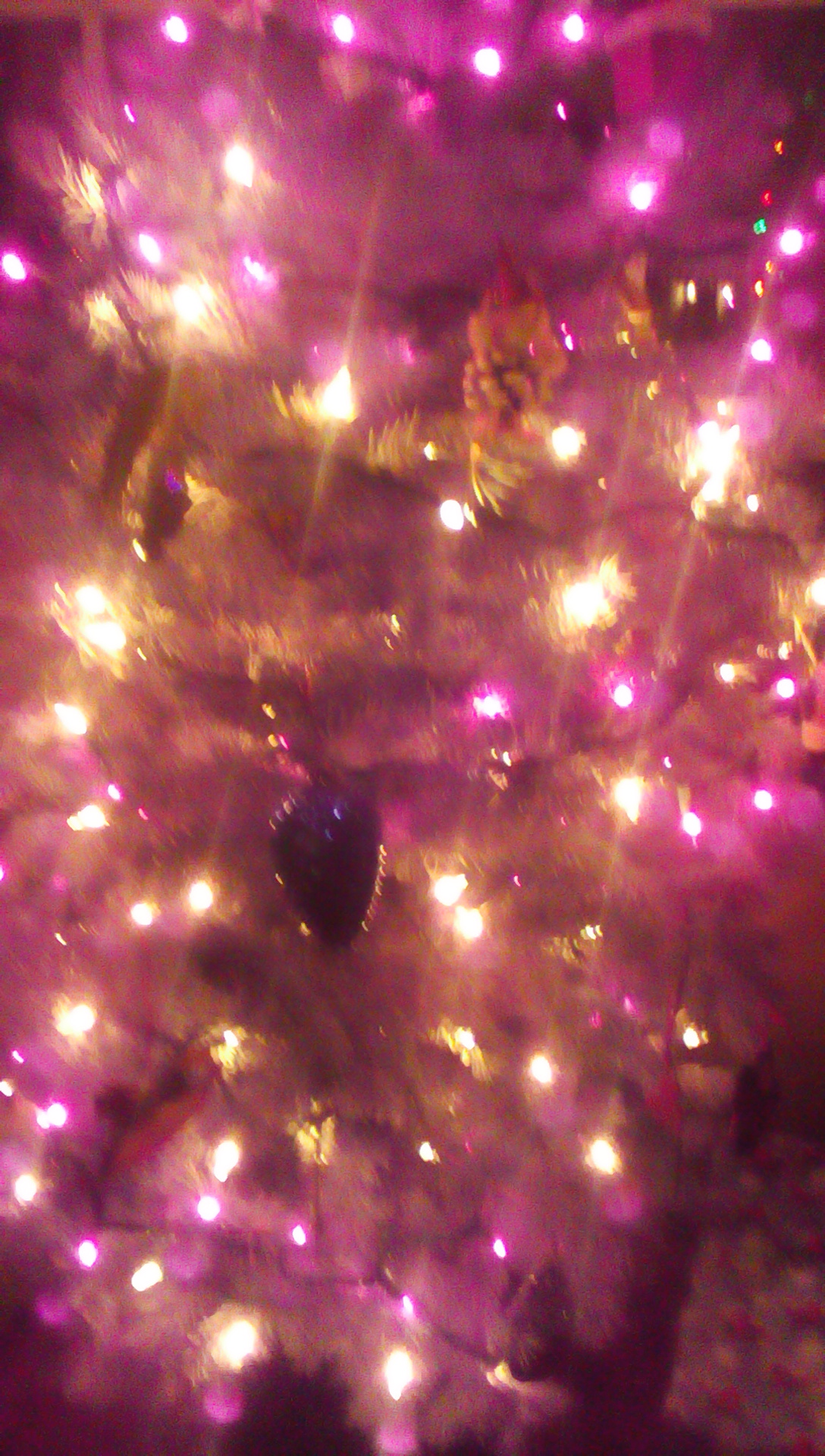 How much do you know about Christmas?